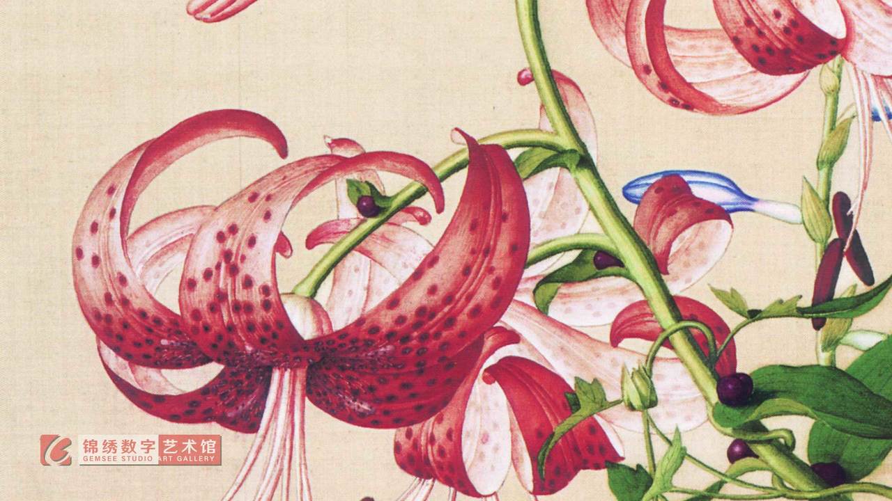 锦绣画屏 仙萼长春图册之 11百合与缠枝牡丹 清郎世宁